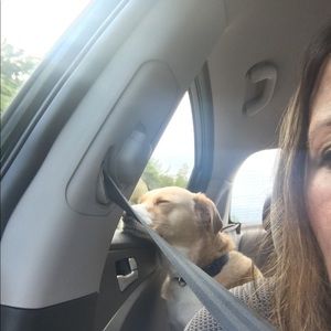 Meet your Posher, Kelly